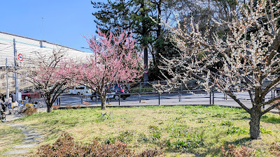 板橋十景「赤塚溜池公園周辺」 사진 3