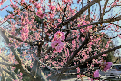 板橋十景「赤塚溜池公園周辺」 사진 5