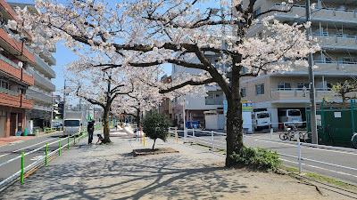 Hebi Park 사진 4