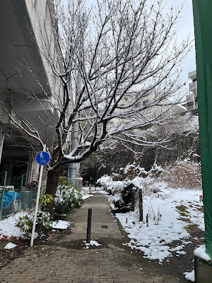 北風小僧 사진 3