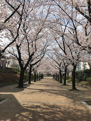 Akabane Green Trail Park 사진 2