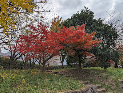 Akabane Green Trail Park 사진 5