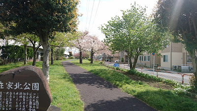 Yazaikekita Park 사진 3