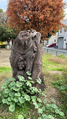 足立区立一ツ家第四公園（ローラー公園） 사진 2