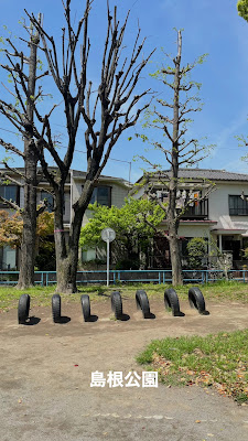 Shimane Park 사진 2