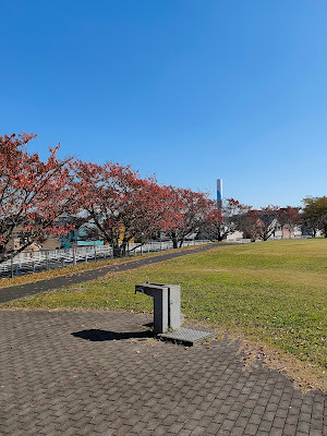 Sakura walk 사진 3