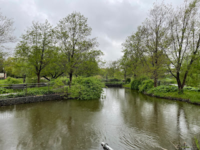 Restored and Preserved Water Area 사진 4