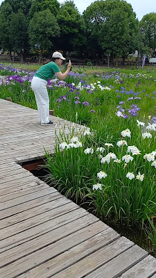 Iris Square 사진 2