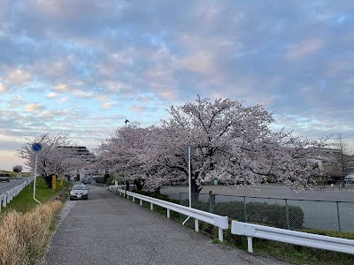 Hinokuchi Park 사진 3