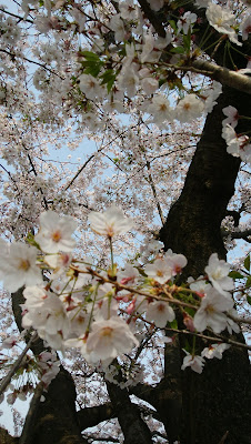 Hinokuchi Park 사진 4