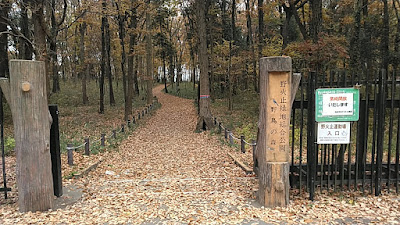 Nobitome Wild Bird Forest Park 사진 4