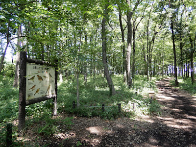 Nobitome Wild Bird Forest Park 사진 3