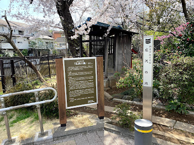 広沢の池 사진 3