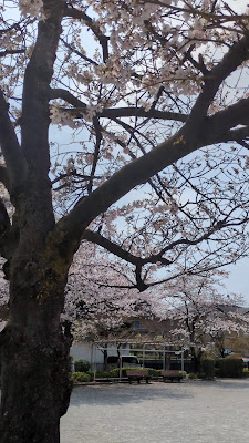 Minaminokaze Park 사진 2