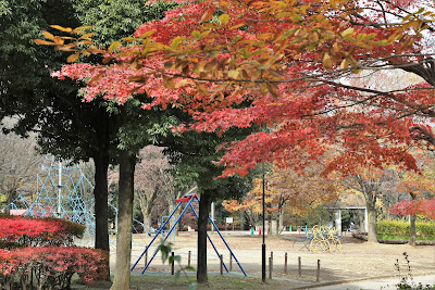 Aobadai Park 사진 4