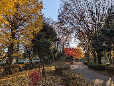Aobadai Park 사진 5