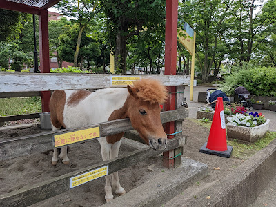 Tokumarugahara Park 사진 3
