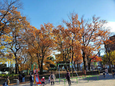 Tokumarugahara Park 사진 4