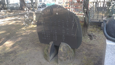 感恩のしだれ梅 사진 3