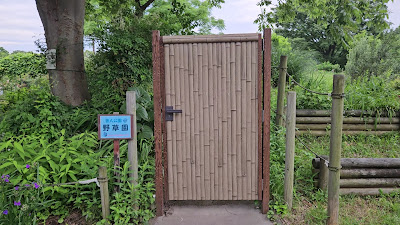 舎人公園野草園 사진 2