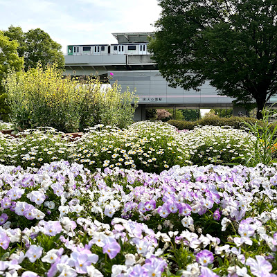 舎人公園野草園 사진 3