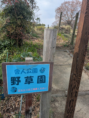 舎人公園野草園 사진 5