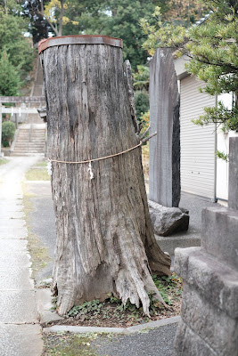 雷電神社参道 사진 3