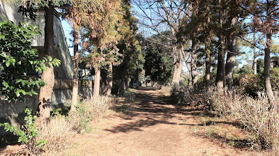 風早神社参道 사진 2
