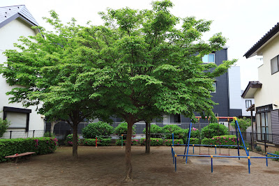 Nihonmatsu Park 사진 5