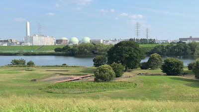 Arakawa Water Park 사진 2