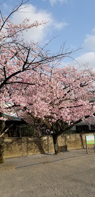 Niizominami Children's Playground 사진 3