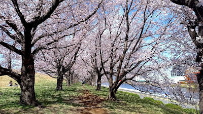 東京オリンピック聖火台（ボート競技） 사진 3
