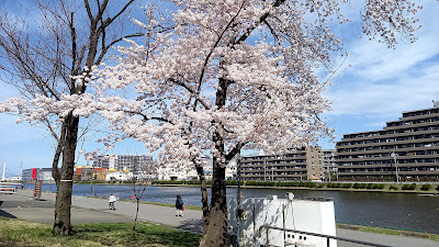 東京オリンピック聖火台（ボート競技） 사진 4