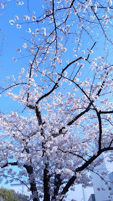 Minamimachijido Park 사진 4