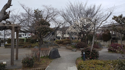 Kizawa Daiichi Park 사진 2