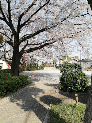 Kizawa Daini Park 사진 4