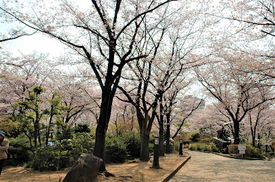 Kawaguchinishi Park 사진 4
