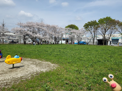 Iriya Nakamaru Park 사진 3