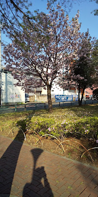Iriya Nakamaru Park 사진 5