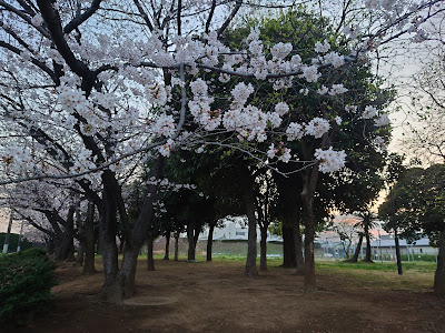 Iriya Nanachome Park 사진 4