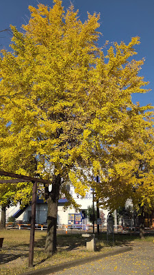 Iriya Nanachome Park 사진 2