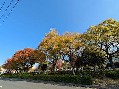 Adachi Kuritsu Iriyanakago Park 사진 5