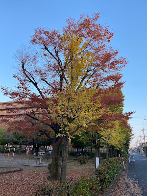 Sezakitsunoda Park 사진 4