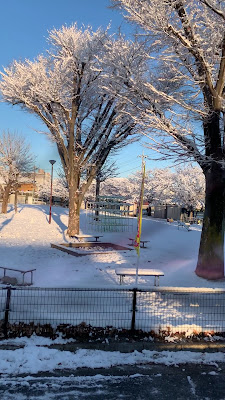 Nakawakura Park 사진 2