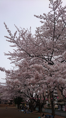 Kitaasaka Park 사진 3