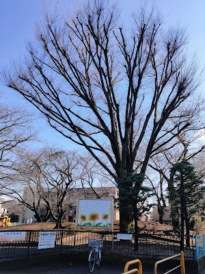 Kitaasaka Park 사진 4