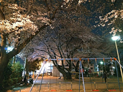 Minamiwari Park 사진 5