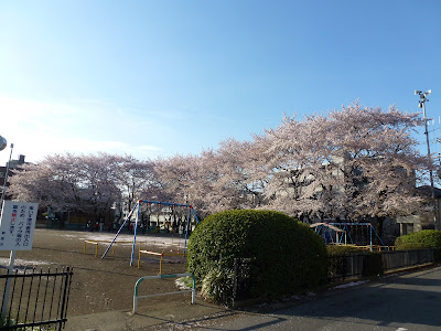 Kitawari Park 사진 4