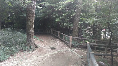 Oka Castle Ruins 사진 2