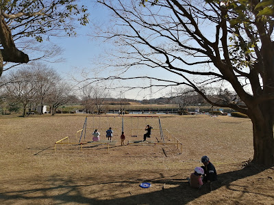 Tajima Park 사진 2